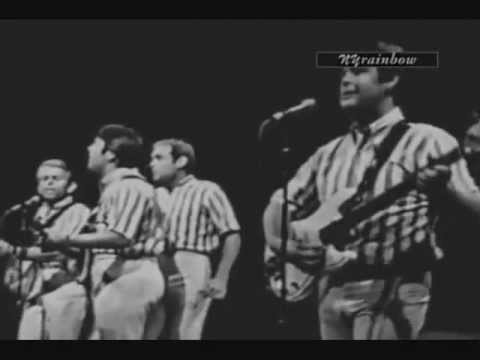 The Beach Boys: Please Let Me Wonder (Live - 1965)