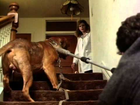 Turner And Hooch - Trailer