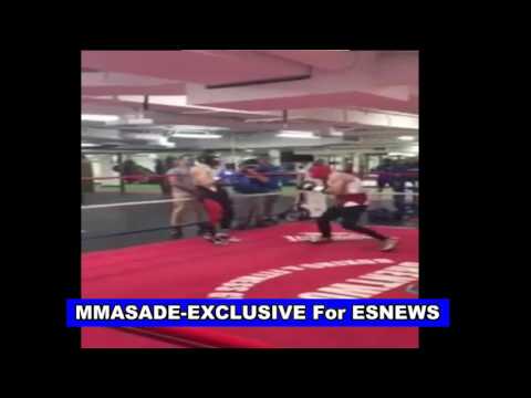 MMA Star CONOR MCGREGOR Sparring Boxing Star Chris Van Heerden - EsNews Boxing