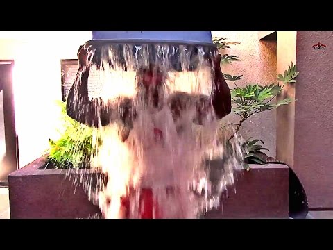 Kali Muscle ICE BUCKET CHALLENGE | Kali Muscle