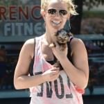 britney-spears-dog